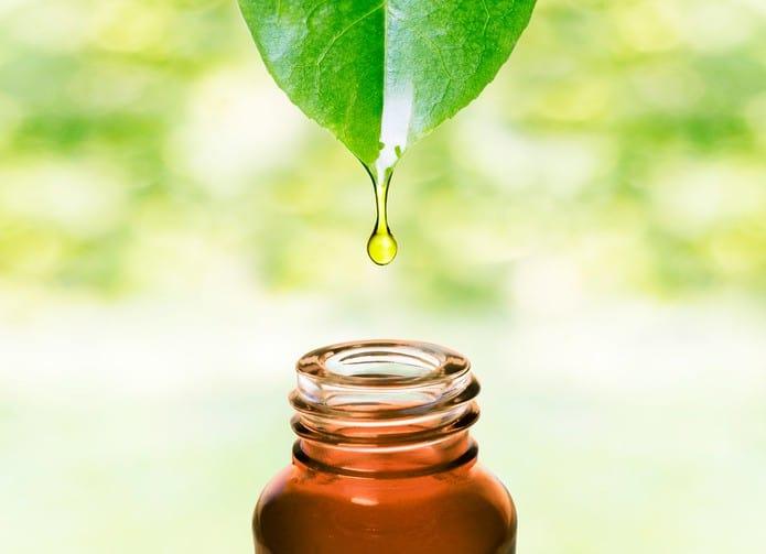 Selami Manfaat Buah Keras Terhadap Kesihatan dan Kecantikan