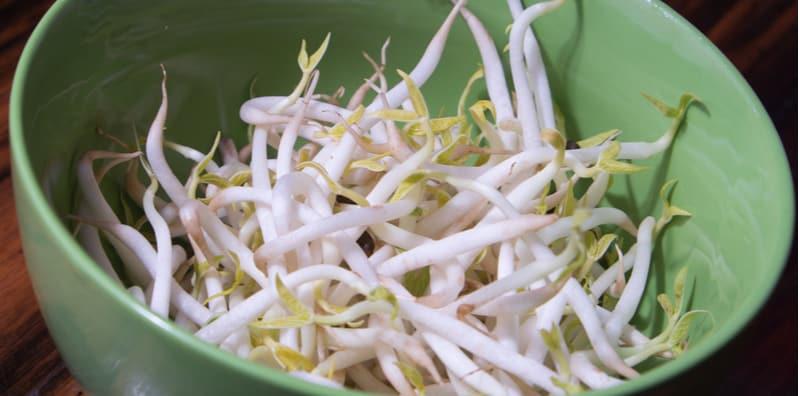 Sayur Taugeh Rupanya Bagus Untuk Turunkan Tekanan Darah & Mengurangkan Gula Dalam Darah