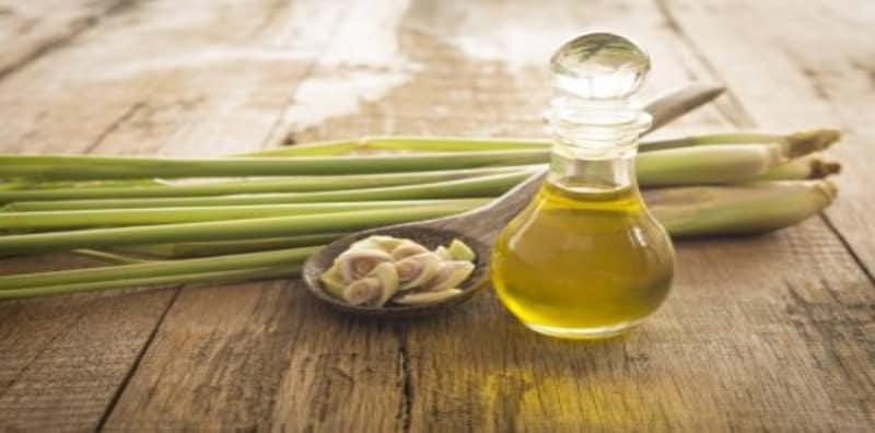 Manfaat Serai Dipercayai Mampu Menguatkan Imun Tubuh & Mengurangkan Risiko Diabetes