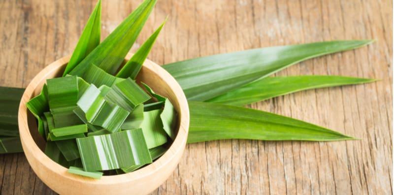 khasiat-daun-pandan