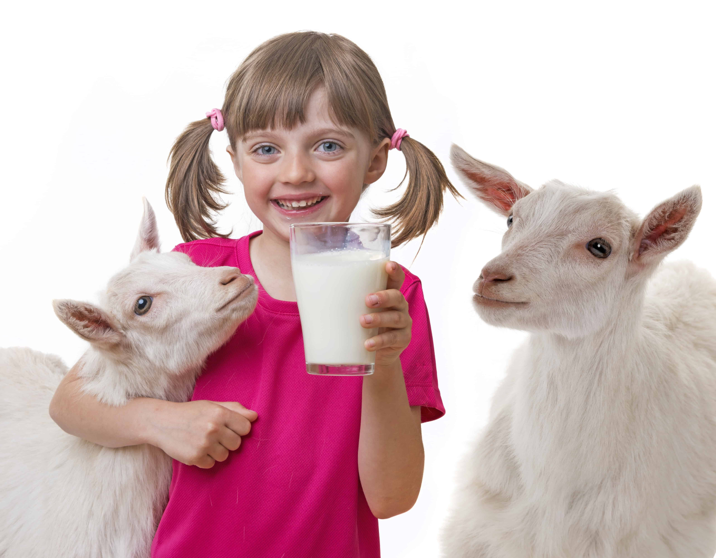 Susu Kambing: Benarkah Khasiatnya Seperti yang Dicanang-canangkan?