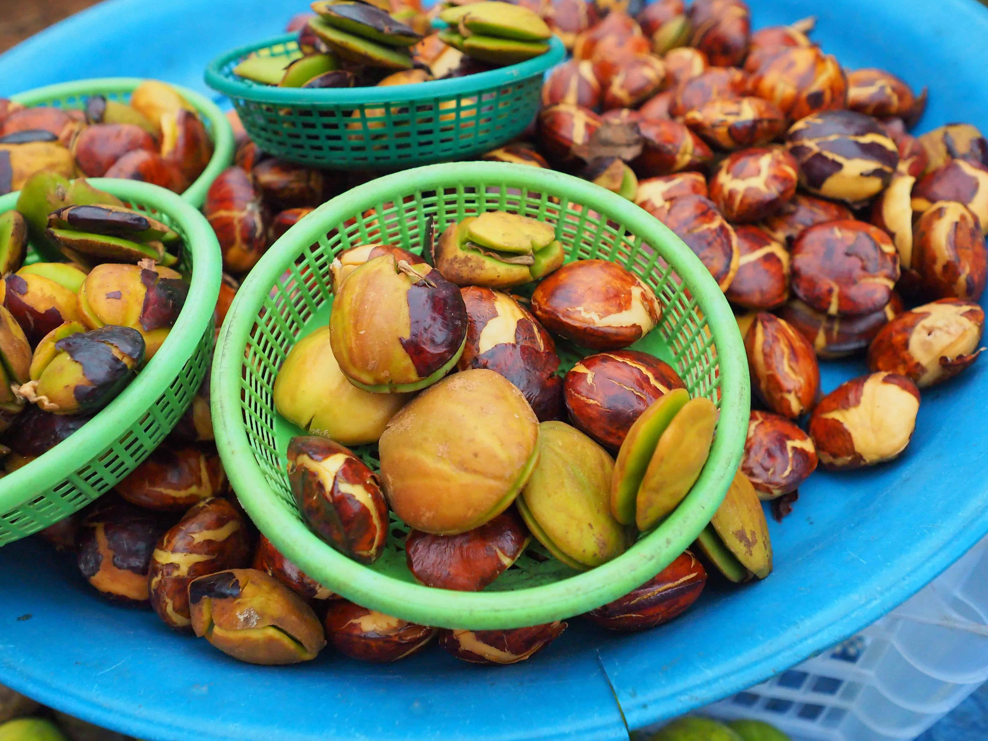 jering-dan-kandungan-asid-djenkolik