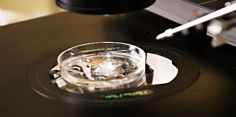 Alamak! Wanita Ini Tertukar Sperma Sewaktu Rawatan IVF, Bagaimana Boleh Terjadi?