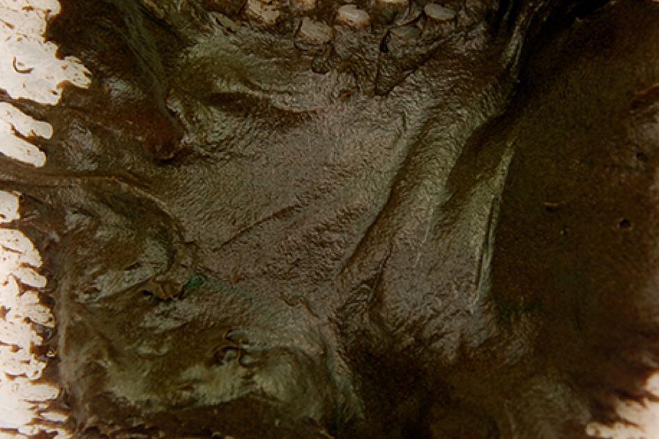 Berwarna kehijauan dan kehitaman serta melekit