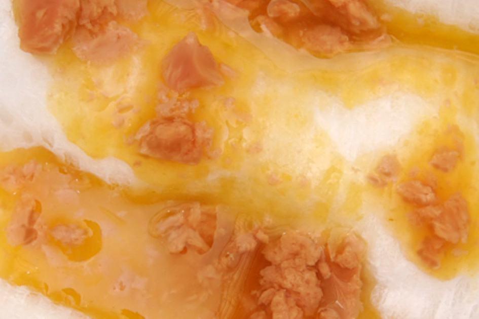 Berwarna coklat serta cair