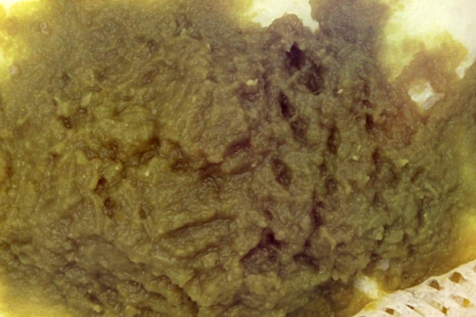 Berwarna hijau gelap