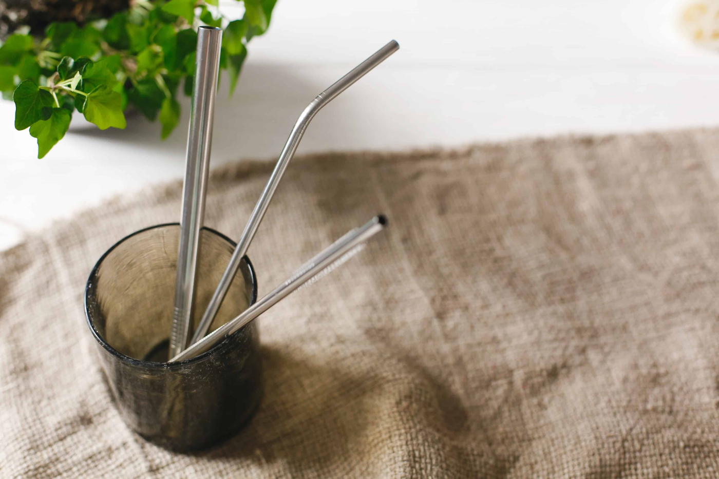 Selamatkah Penggunaan Straw Besi?