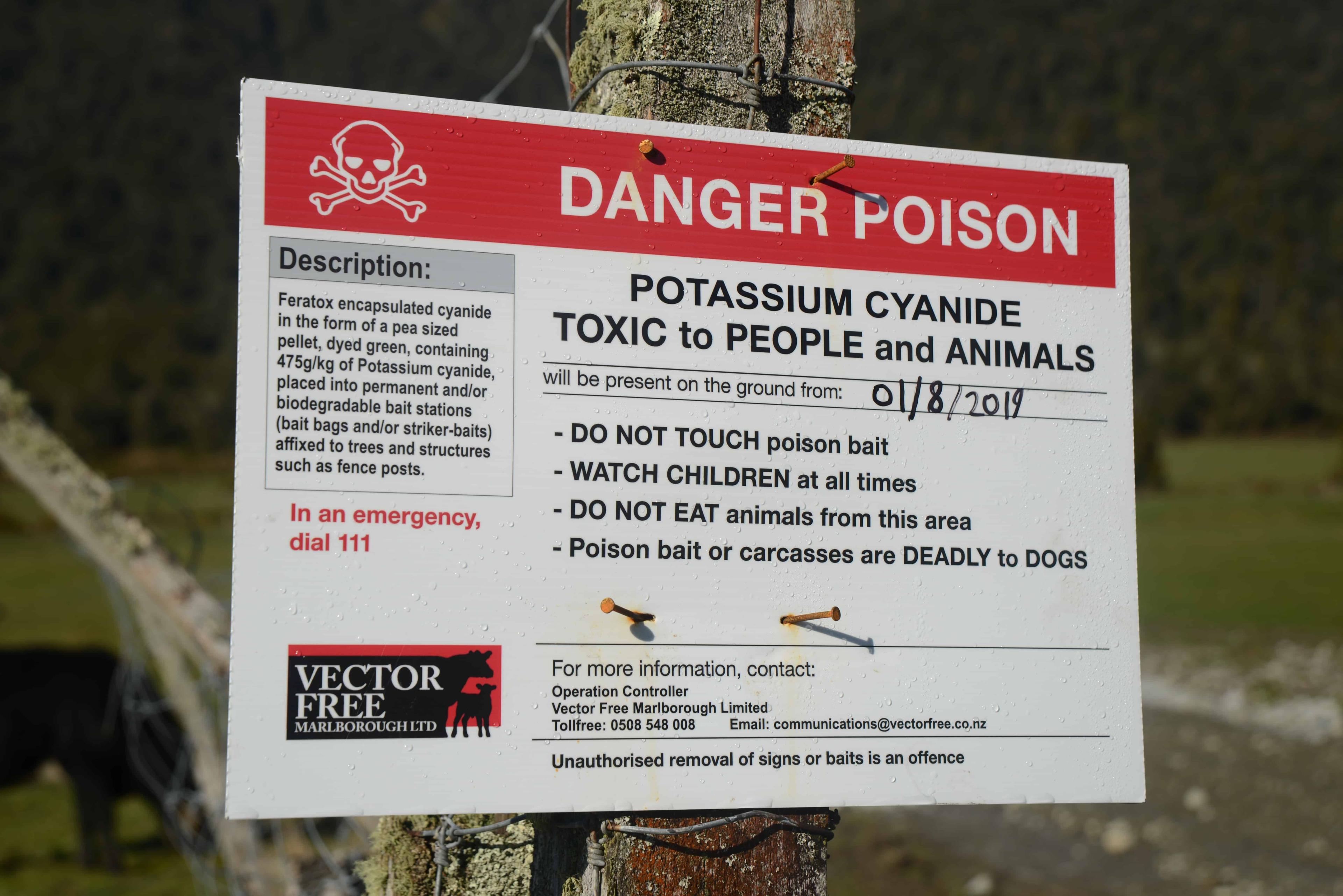 ketahui-keracunan-sianida