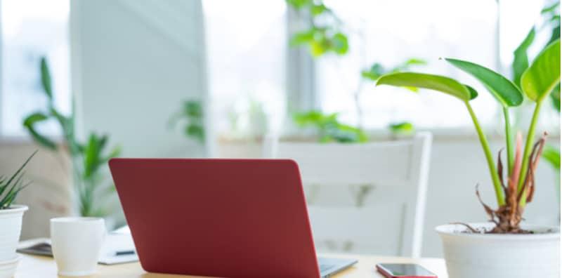 meletakkan-pokok-di-meja-kerja