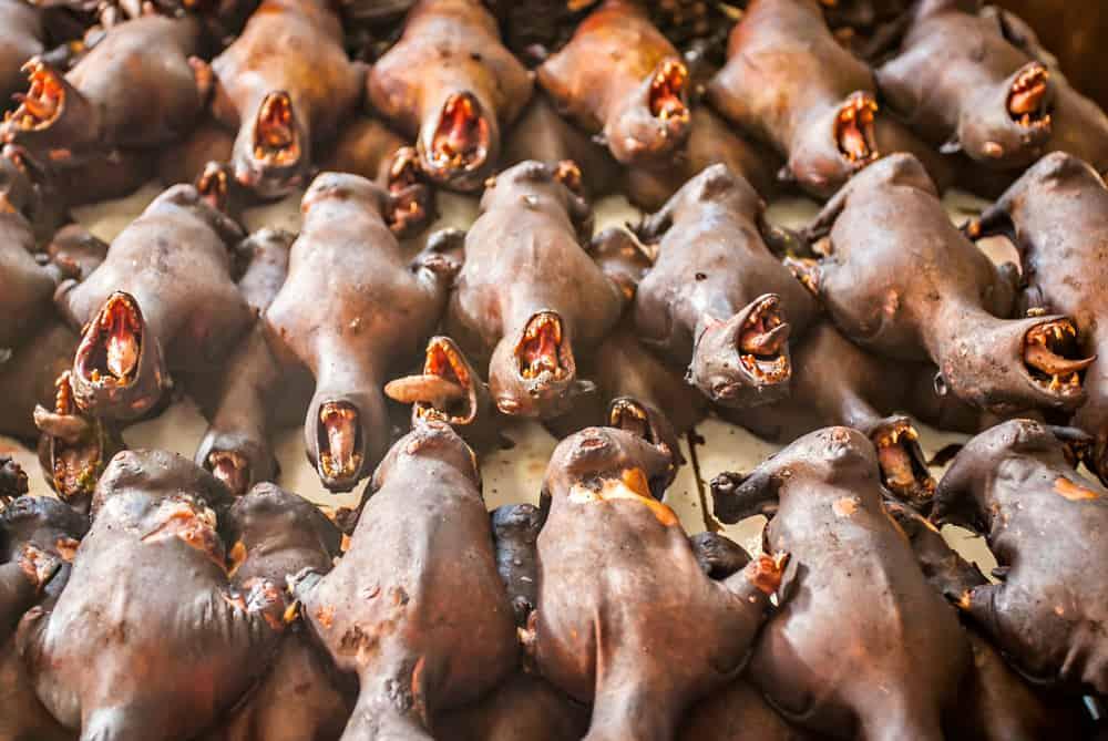 TIDAK SERIK! Daging Kelawar Masih Dijual Di Pasar Sulawesi