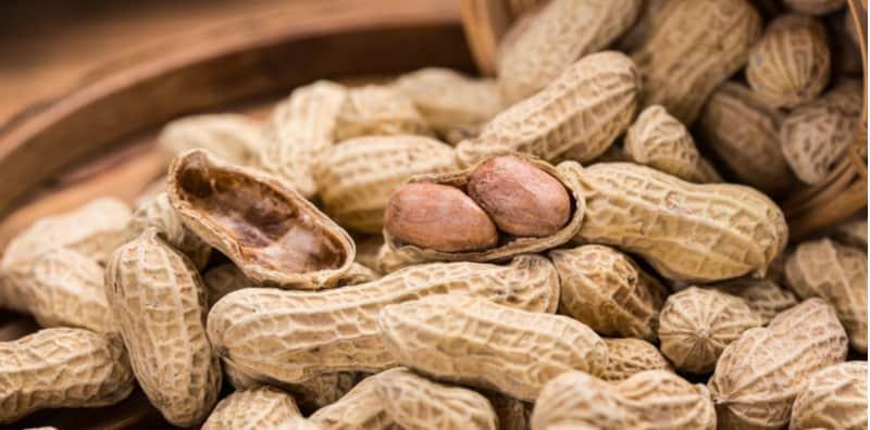 Jangan Ambil Mudah! Alahan Kulit Kacang Tanah Boleh Sebabkan MAUT Jika Lambat Dirawat