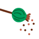Minggu 4
