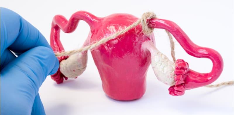 tiub-fallopio-tersumbat-semula-jadi