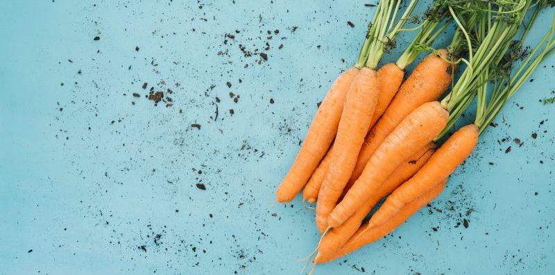 khasiat-lobak-merah-diabetes