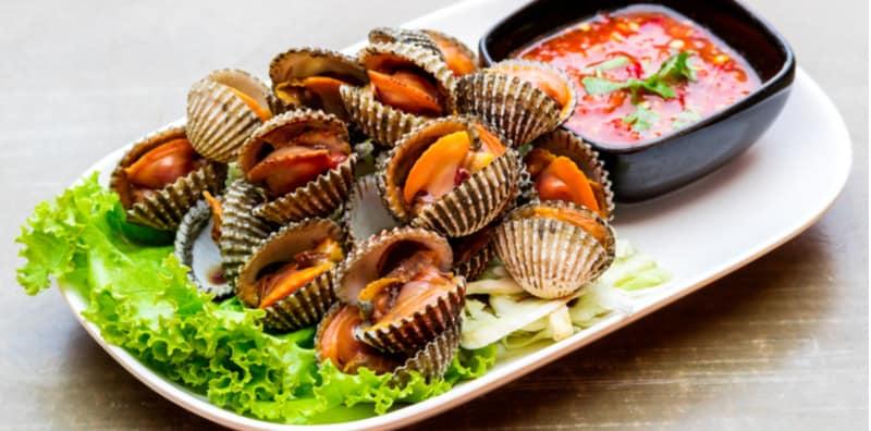 adakah-kerang-sihat