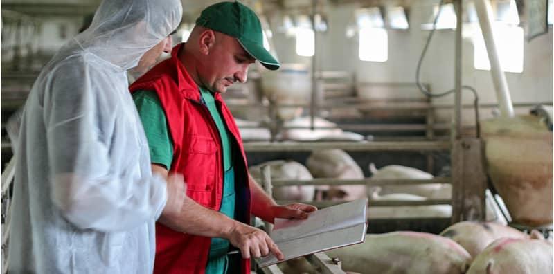 penyakit-japanese-encephalitis-malaysia