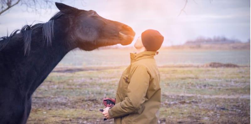 seks-luar-tabii-haiwan-zoofilia