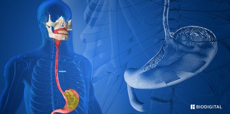 soda-bikarbonat-asid-refluks