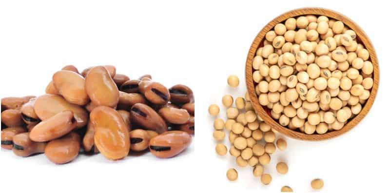 penyakit-g6pd-makan-boleh