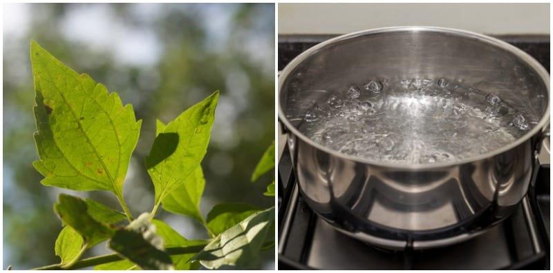 Minum Air Rendaman Kapal Terbang Boleh Rawat Kencing Manis? Jangan Buat BAHAYA!