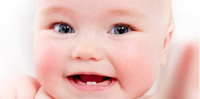 maksud-flos-gigi-si-kecil