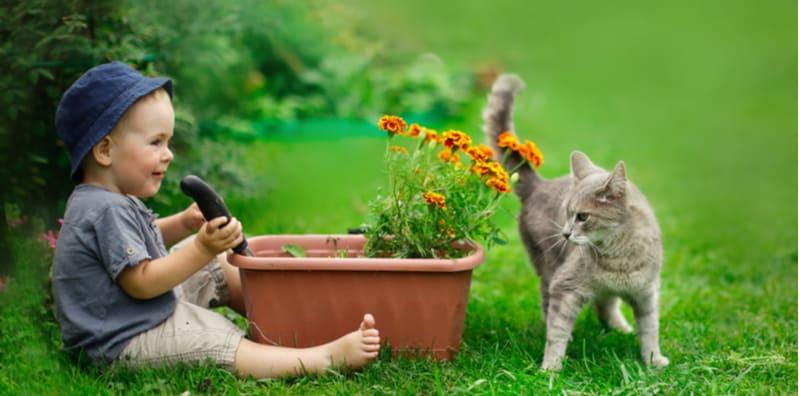 Jaga-jaga Jika Gemar Berkebun & Ada Kucing Di Rumah? Anda Berisiko Kena JANGKITAN Ini