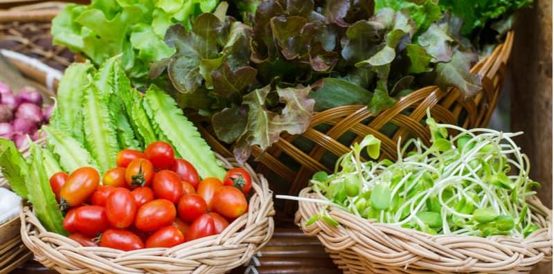 Rahsia Hidup Lama & Panjang Umur Dengan Hanya Makan Sayur, Terlindung Dari Penyakit Kronik!