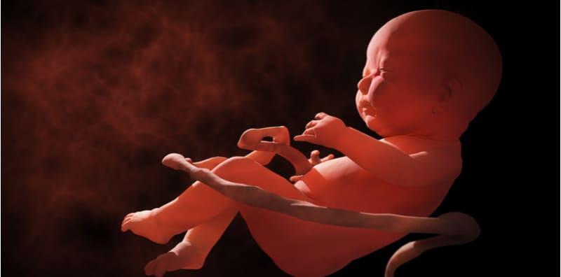 24 Jam Sebelum Lahir, Ada 11 Benda Bayi Buat Dalam Perut Ibu, Teruja Nak Tunggu Lahir!