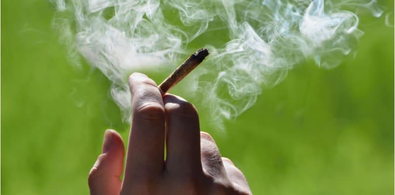 Bukan Jadi Kurus, Kesan Ambil Ganja Mungkin Akan Buat Individu Gemuk! Tak Percaya?