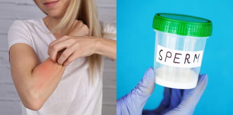alahan-sperma-hamil