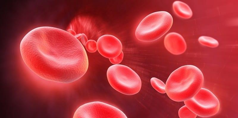 Ambil Asid Folik Untuk Tambah Darah Dalam Badan, Ini Tip Penjagaan Pesakit Talasemia