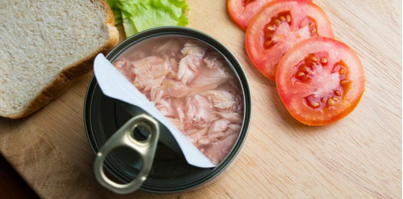 Kalau Nak Turunkan Berat Badan, Pilih Ikan Tuna Dalam Tin! Ini Beza Khasiatnya Dengan Ikan Segar