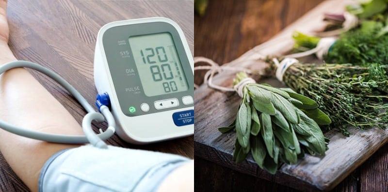 masalah-hipertensi-herba