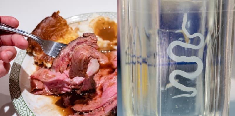 BAHAYA Kalau Makan Daging Kurang Masak, Risiko Dapat Jangkitan Cacing Ini!
