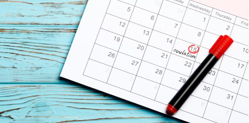 Kalau Nak 'Family Planning', Kena Tahu Waktu Subur Isteri Tau! Jom Fahami Kitaran Haid