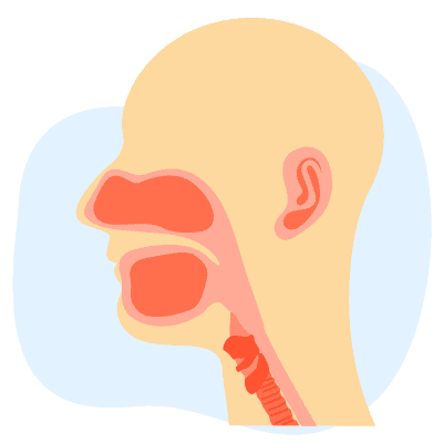 Keadaan Telinga, Hidung/Tekak