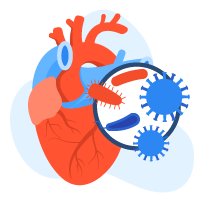 Jangkitan Pada Jantung