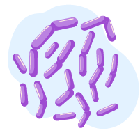 Penyakit Berjangkit Lain
