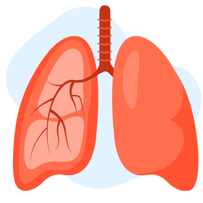 Kesihatan Pernafasan