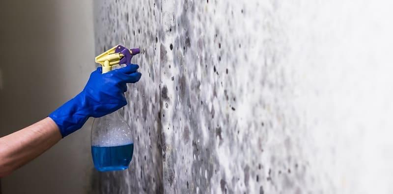 jenis-alahan-terhadap-kulat