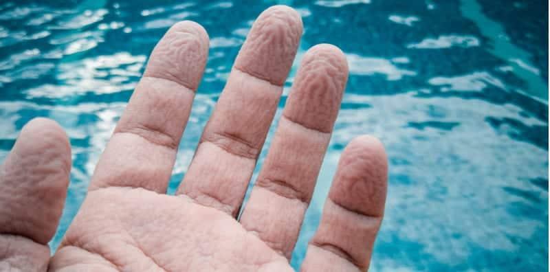 Jari Tangan Dan Kaki Selalu Berkedut Selepas Mandi Kolam? Ini Fakta Sains Di Sebaliknya!