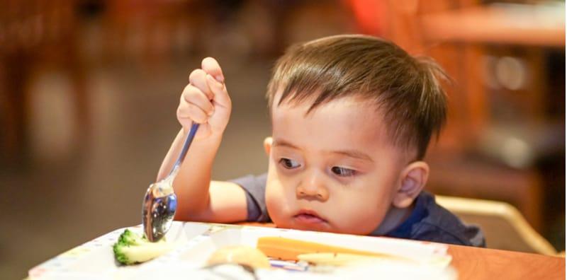 Si Manja CEREWET Sangat Soal Makan? Ini 11 Cara Atasinya, Pasti BERKESAN!