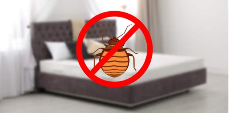 Habis Satu Badan Gatal Gara-gara Tilam Penuh PEPIJAT! Apa Perlu Buat?