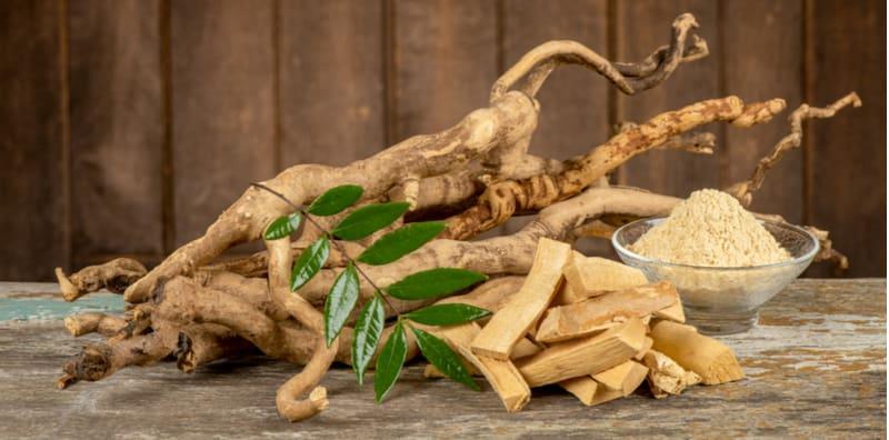 tongkat-ali-untuk-wanita