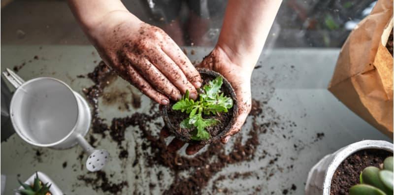 AWAS! Kerja Dari Rumah Buat Anda Rajin Berkebun? Cuba 5 Tip Ini Untuk Cegah Kulat Kuku!