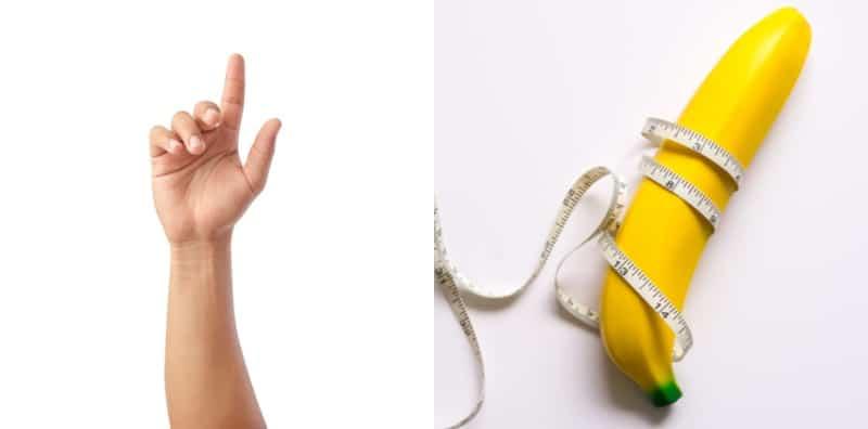 ukuran-jari-zakar-panjang