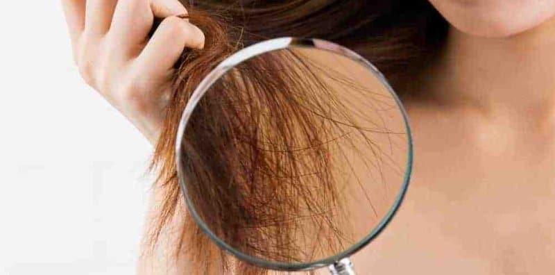 punca-rambut-bercabang