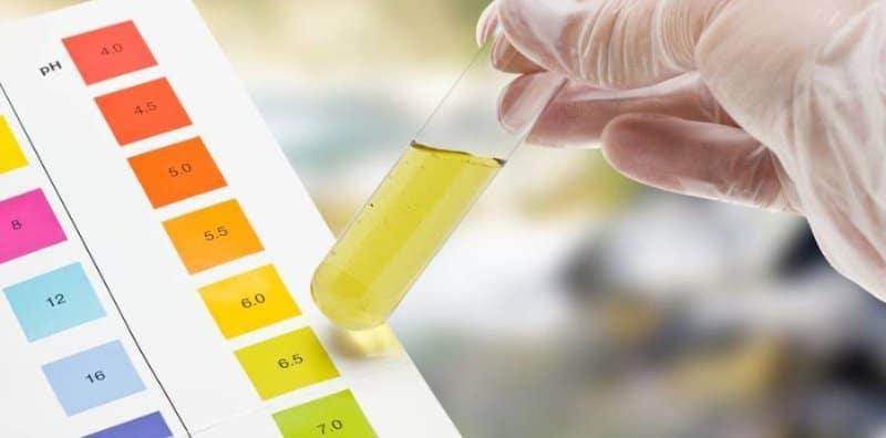 WOW! 5 Jenis Makanan Ini Boleh Buat Air Kencing Kuning Berubah Warna!