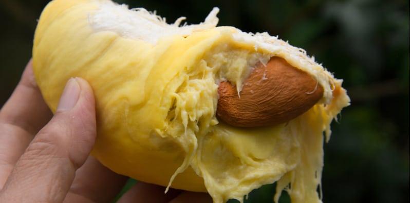 'Panas Badan' Jika Makan Durian Masa Hamil? Ini 5 Khasiatnya Buat Ibu!