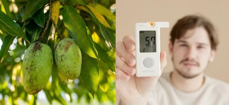 5 Jenis Daun Ini Boleh Ubati Kencing Manis, Daun Mangga Pun Berkhasiat?
